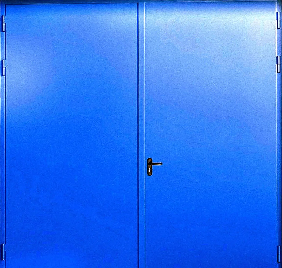 Противопожарные ворота Fenix-11 (Нитроэмаль) - внешняя сторона